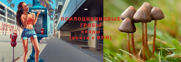 мет Белокуриха